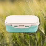 LunchBox-écologique-vert