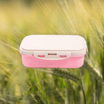 LunchBox-écologique-rose