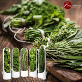 HerbPod™ | Capsule de préservation pour herbes - Chop Chop Pickle