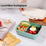 LunchBox-écologique-blé
