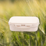 LunchBox-écologique-blanc
